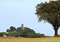 steinsburg